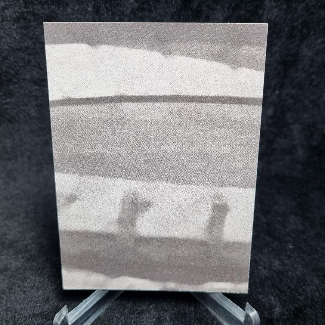 AFL 2024 TeamCoach Scanlen's Retro Mason Redman Essendon Bombers #201