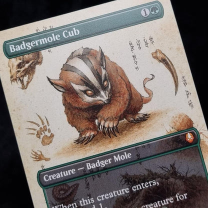 MTG Badgermole Cub (Borderless) - Avatar: The Last Airbender Near Mint2