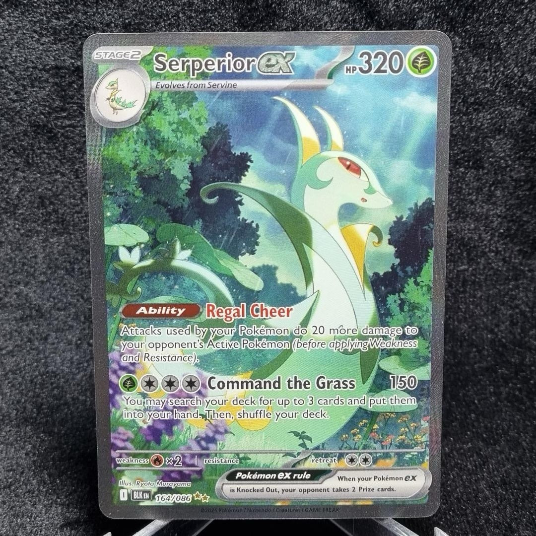 Pokemon Serperior ex 164/086 Holo Special Illustration Rare BLK English TCG0